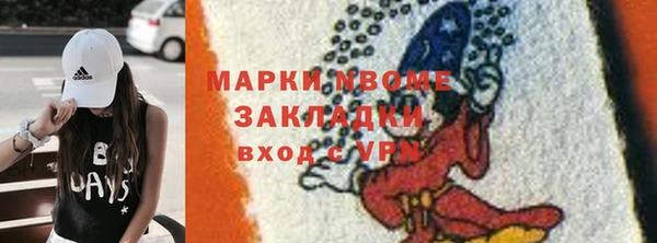 индика Новозыбков