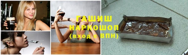индика Новозыбков