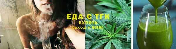 индика Новозыбков