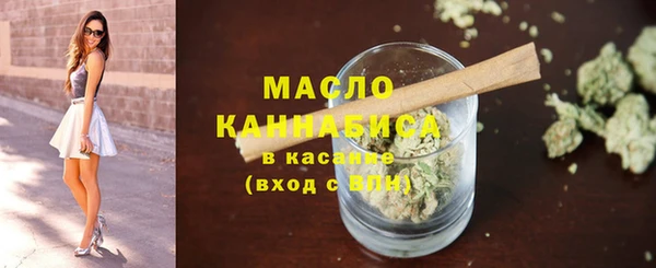 индика Новозыбков