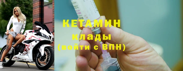 индика Новозыбков