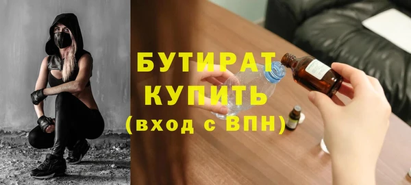 индика Новозыбков