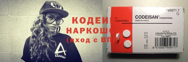 индика Новозыбков