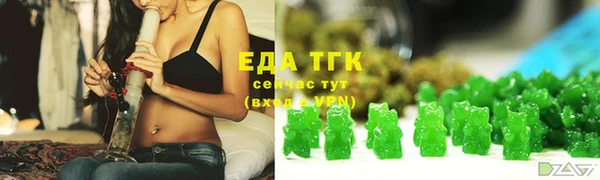 индика Новозыбков