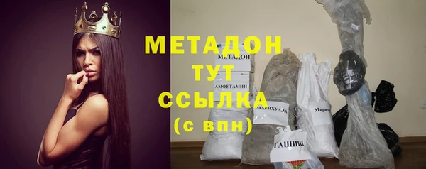 индика Новозыбков