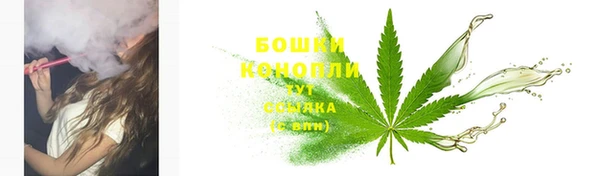 прущие крисы Нефтекумск