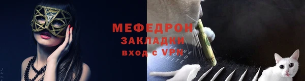 индика Новозыбков