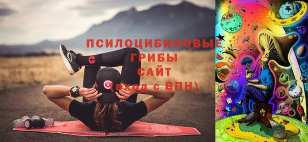 гашиш Новодвинск