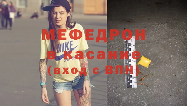 индика Новозыбков