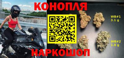 PSILOCYBIN Балахна