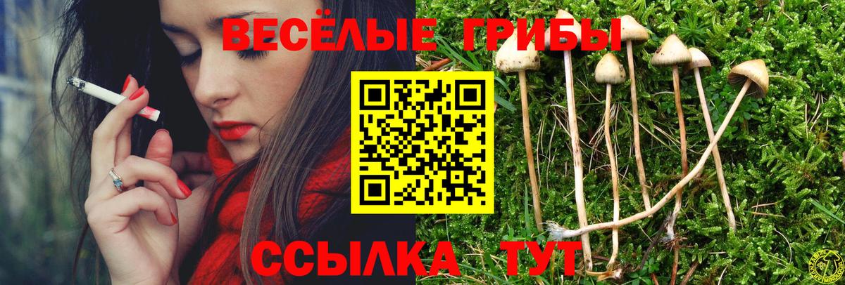 Псилоцибиновые грибы прущие грибы  Псилоцибиновые грибы Magic Shrooms  Братск  Вход с VPN 